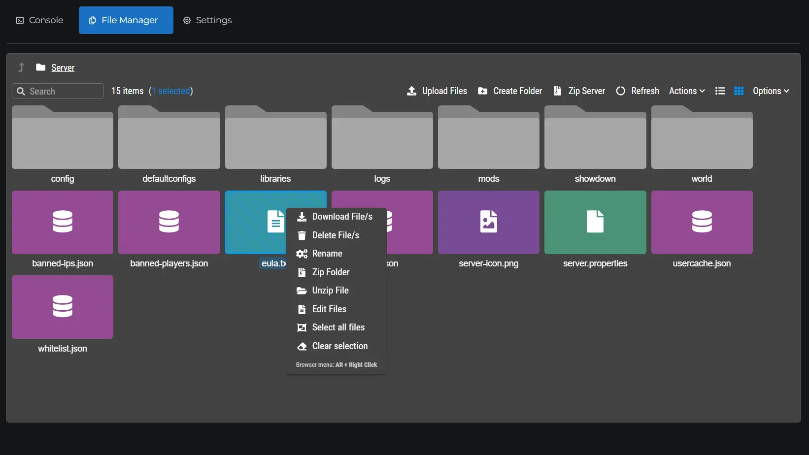 File Manager Interface